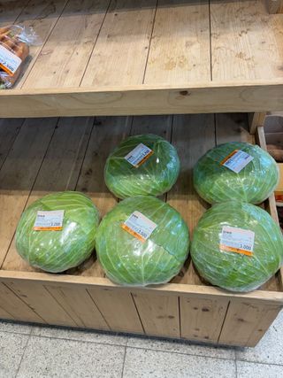 김영완님의 양배추 · 영농일지 작성글 사진