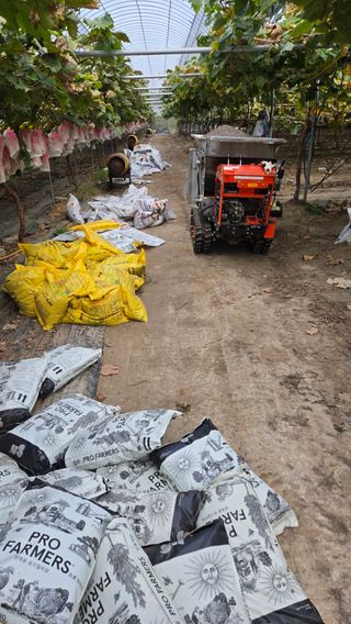 전진원님의 포도 · 영농일지 작성글 사진