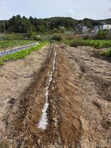 팜모닝 파·영농일지 게시글 이미지