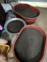 팜모닝 들깨·영농일지 게시글 이미지