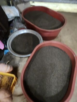 평택님의 들깨 · 영농일지 작성글 사진