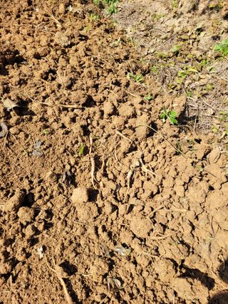 이름유순옥님의 기타작물 · 영농일지 작성글 사진