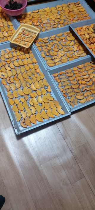 즐겁게 일하는조시형님의 기타작물 · 영농일지 작성글 사진