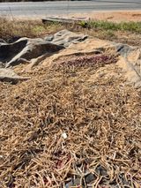 팜모닝 콩·영농일지 게시글 이미지