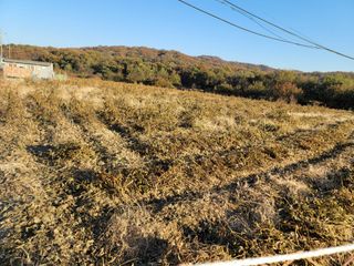 신승철님의 기타작물 · 영농일지 작성글 사진