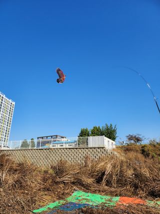 평택님의 들깨 · 영농일지 작성글 사진