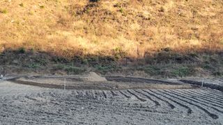 김홍중님의 기타작물 · 영농일지 작성글 사진