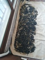 팜모닝 콩·영농일지 게시글 이미지