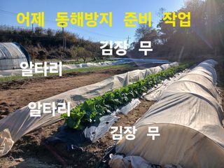안승호님의 기타작물 · 영농일지 작성글 사진