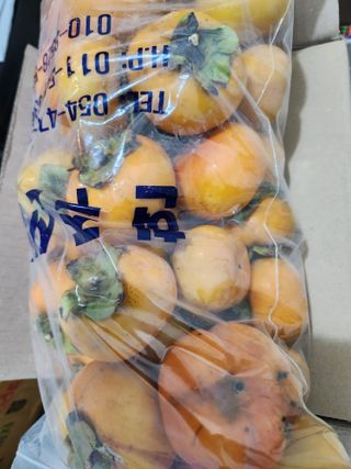 김영옥님의 감 · 영농일지 작성글 사진