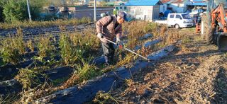 강인석님의 기타작물 · 영농일지 작성글 사진