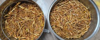 강호지인님의 기타작물 · 영농일지 작성글 사진