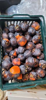 팜모닝 기타작물·영농일지 게시글 이미지