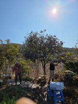 팜모닝 기타작물·영농일지 게시글 이미지