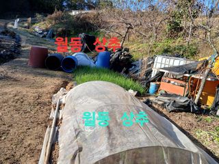 안승호님의 기타작물 · 영농일지 작성글 사진