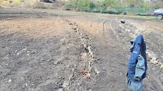 김홍중님의 기타작물 · 영농일지 작성글 사진