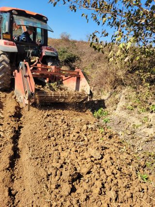 이름유순옥님의 기타작물 · 영농일지 작성글 사진