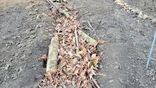 김홍중님의 기타작물 · 영농일지 작성글 사진