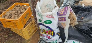 박상중님의 기타작물 · 영농일지 작성글 사진