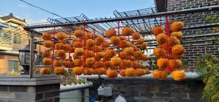 신영식님의 기타작물 · 영농일지 작성글 사진