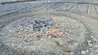 김홍중님의 기타작물 · 영농일지 작성글 사진