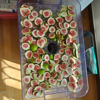 이주환님의 기타작물 · 영농일지 작성글 사진