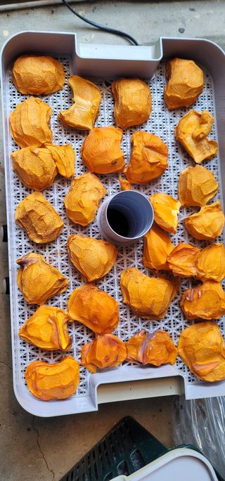 신영식님의 기타작물 · 영농일지 작성글 사진