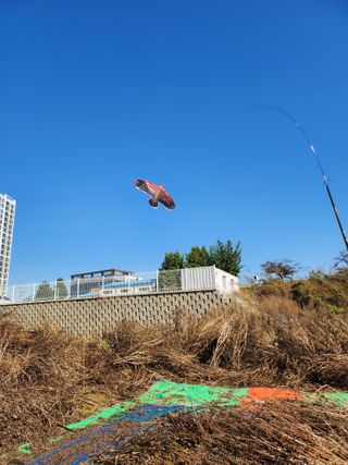 평택님의 들깨 · 영농일지 작성글 사진