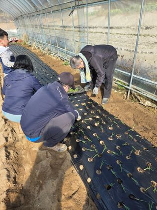 최재영님의 들깨 · 영농일지 작성글 사진