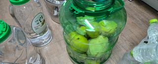 강호지인님의 기타작물 · 영농일지 작성글 사진