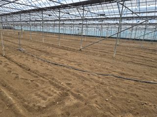 김명숙님의 기타작물 · 영농일지 작성글 사진