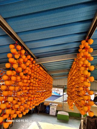 감1613님의 감 · 영농일지 작성글 사진