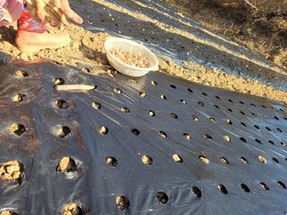 이름유순옥님의 기타작물 · 영농일지 작성글 사진