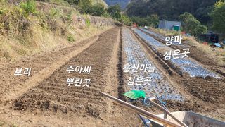 홍광희님의 기타작물 · 영농일지 작성글 사진