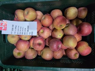 조용한하루님의 사과 · 영농일지 작성글 사진