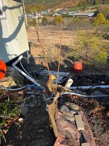 팜모닝 복숭아·영농일지 게시글 이미지