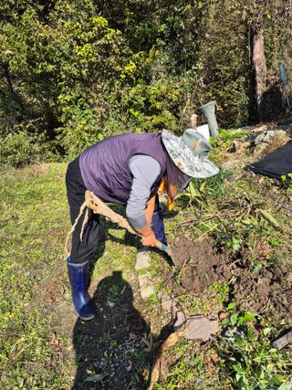 이준영님의 기타작물 · 영농일지 작성글 사진