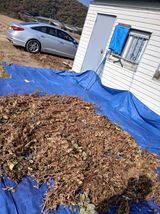 팜모닝 콩·영농일지 게시글 이미지