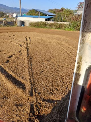 12345우각장당리님의 기타작물 · 영농일지 작성글 사진