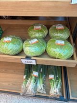 김영완님의 작성글 사진