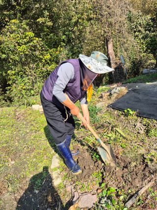 이준영님의 기타작물 · 영농일지 작성글 사진