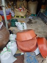 팜모닝 들깨·영농일지 게시글 이미지