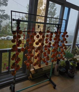 효진농원님의 기타작물 · 영농일지 작성글 사진