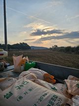 팜모닝 기타작물·영농일지 게시글 이미지