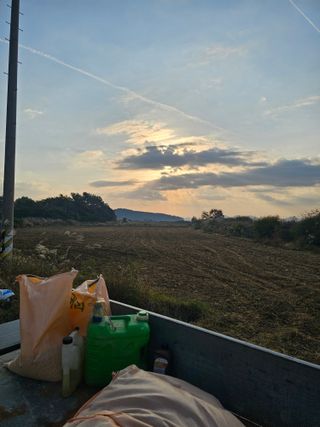 차춘석 님의 기타작물 · 영농일지 작성글 사진