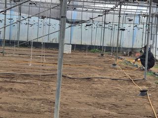 김명숙님의 기타작물 · 영농일지 작성글 사진