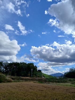 강지현님의 파 · 영농일지 작성글 사진