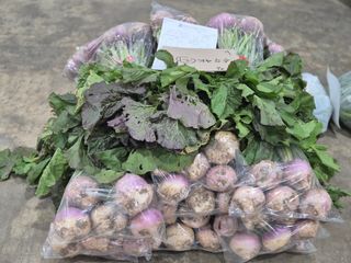 봉우재농부님의 기타작물 · 영농일지 작성글 사진