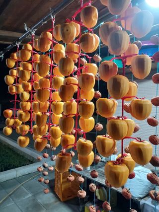 최진일님의 감 · 영농일지 작성글 사진