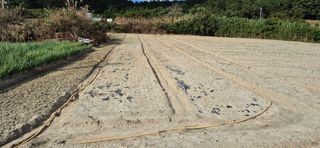 김진순님의 시금치 · 영농일지 작성글 사진